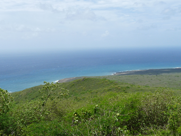 nevis coastline