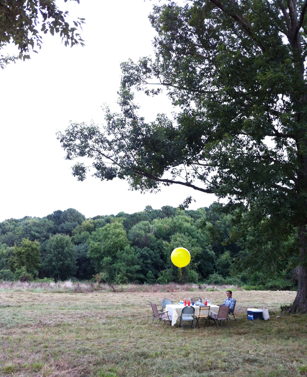 dinner-party-in-a-field