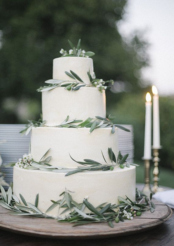 olive-branch-cake