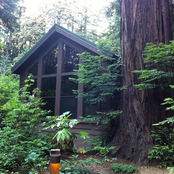 glen-oaks-cabin