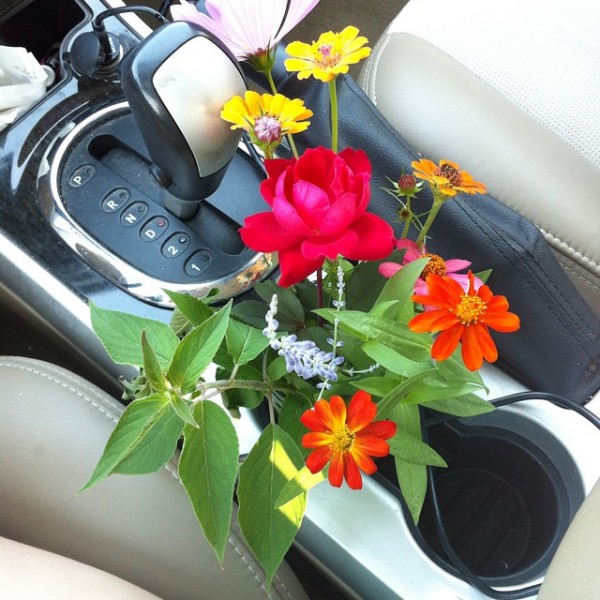 car-console-flowers