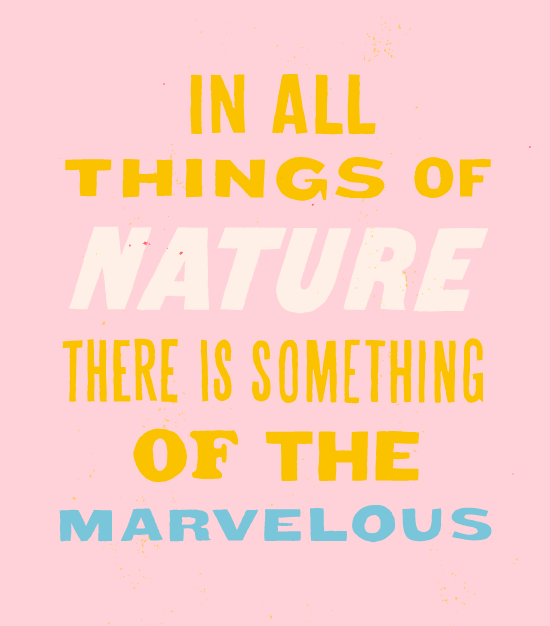 marvelous-quote