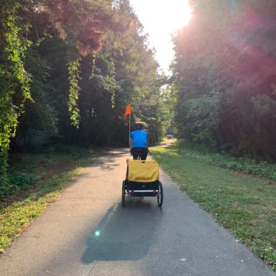 bumble bee bike trailer