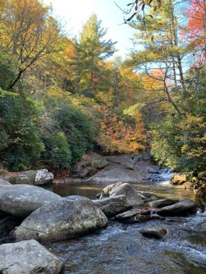 Our weekend trip to Black Mountain, NC - Em for Marvelous