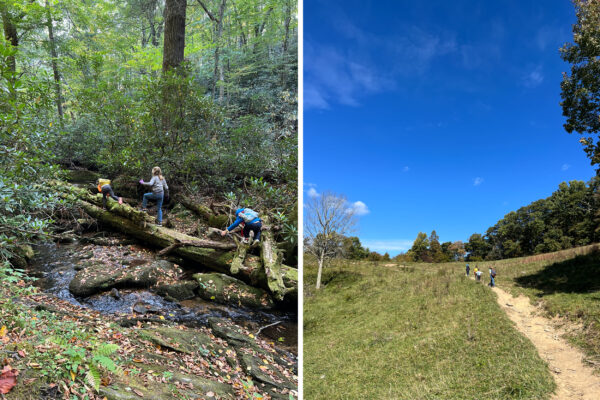 Summertime Florida Hiking – RH Photo Adventures